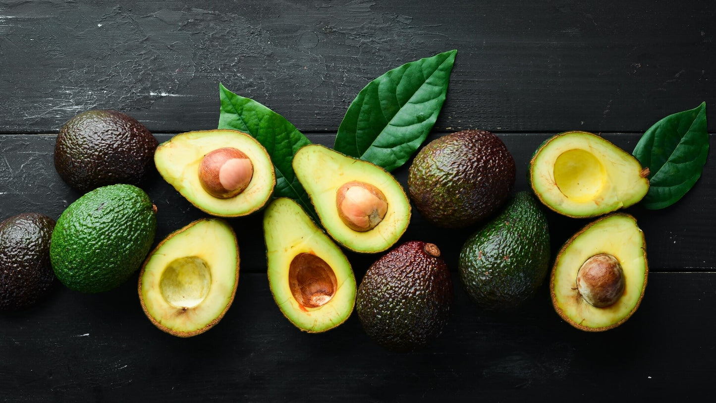 Avocat du Perou