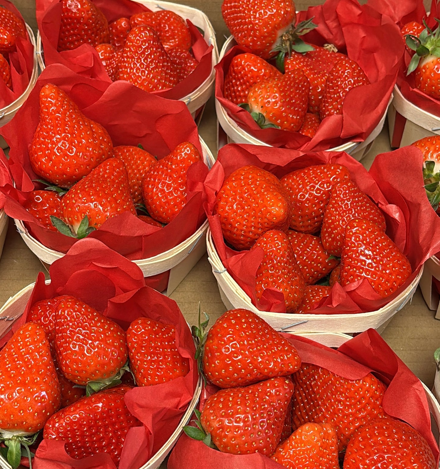 Fraise Cléry Origine France