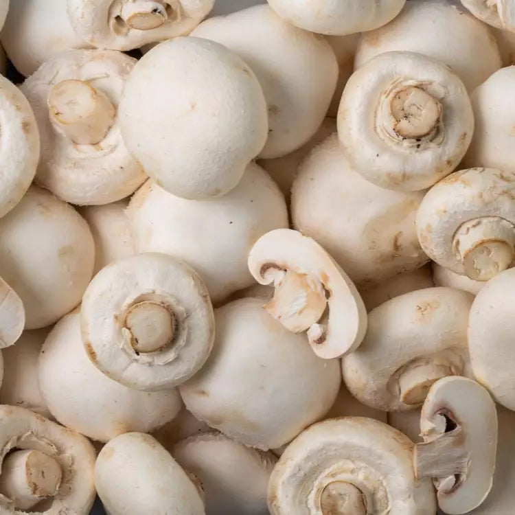 Champignon blanc Origine Pologne