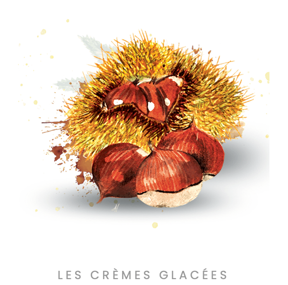 Glaces artisanales (Rhône-Alpes) Origine France