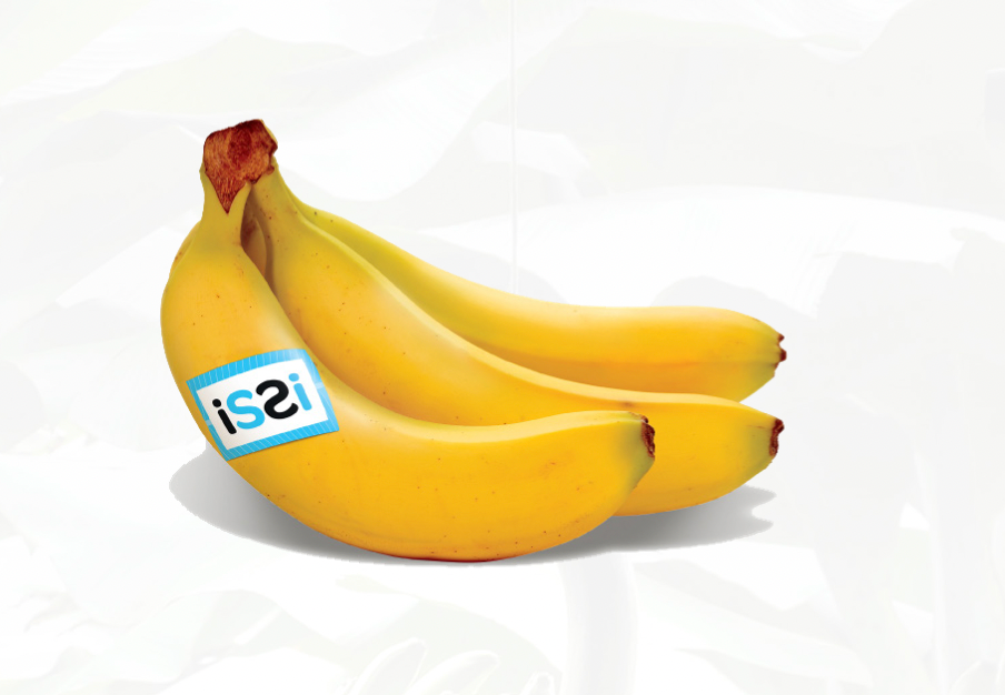 Banane SCB
