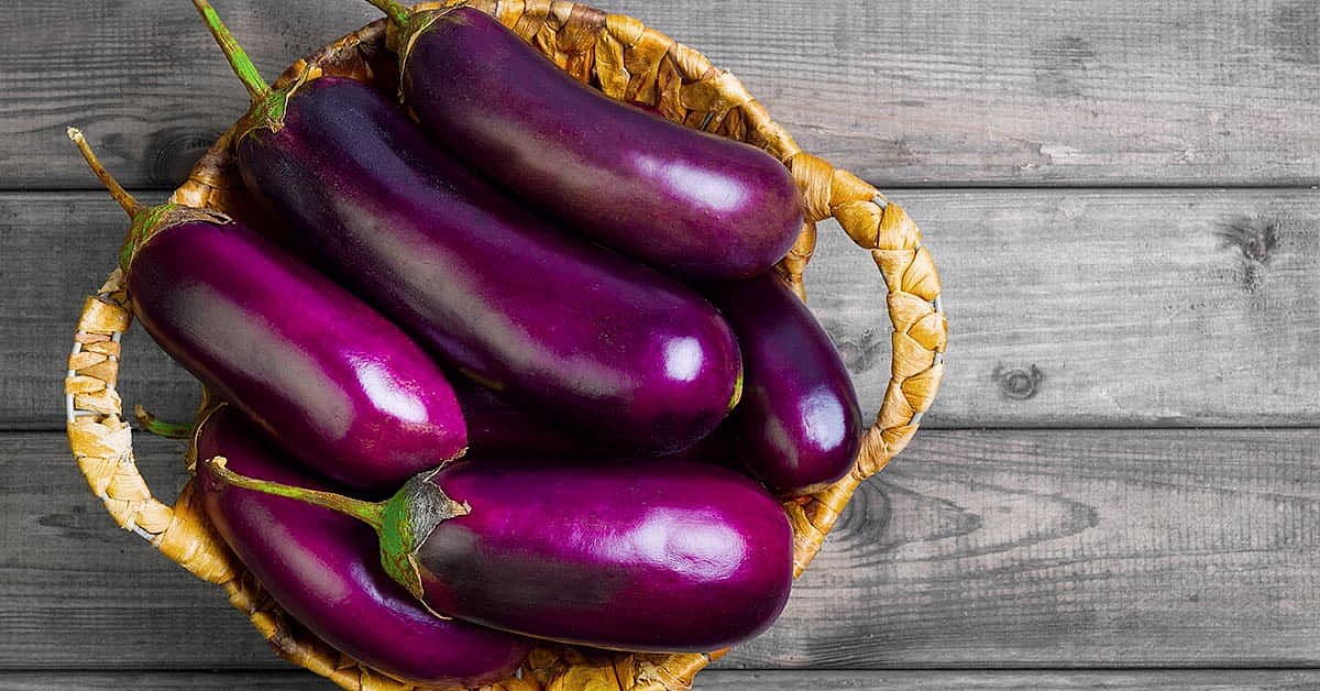 Aubergine Origine Espagne