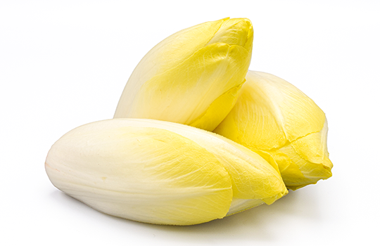 Endive Origine France