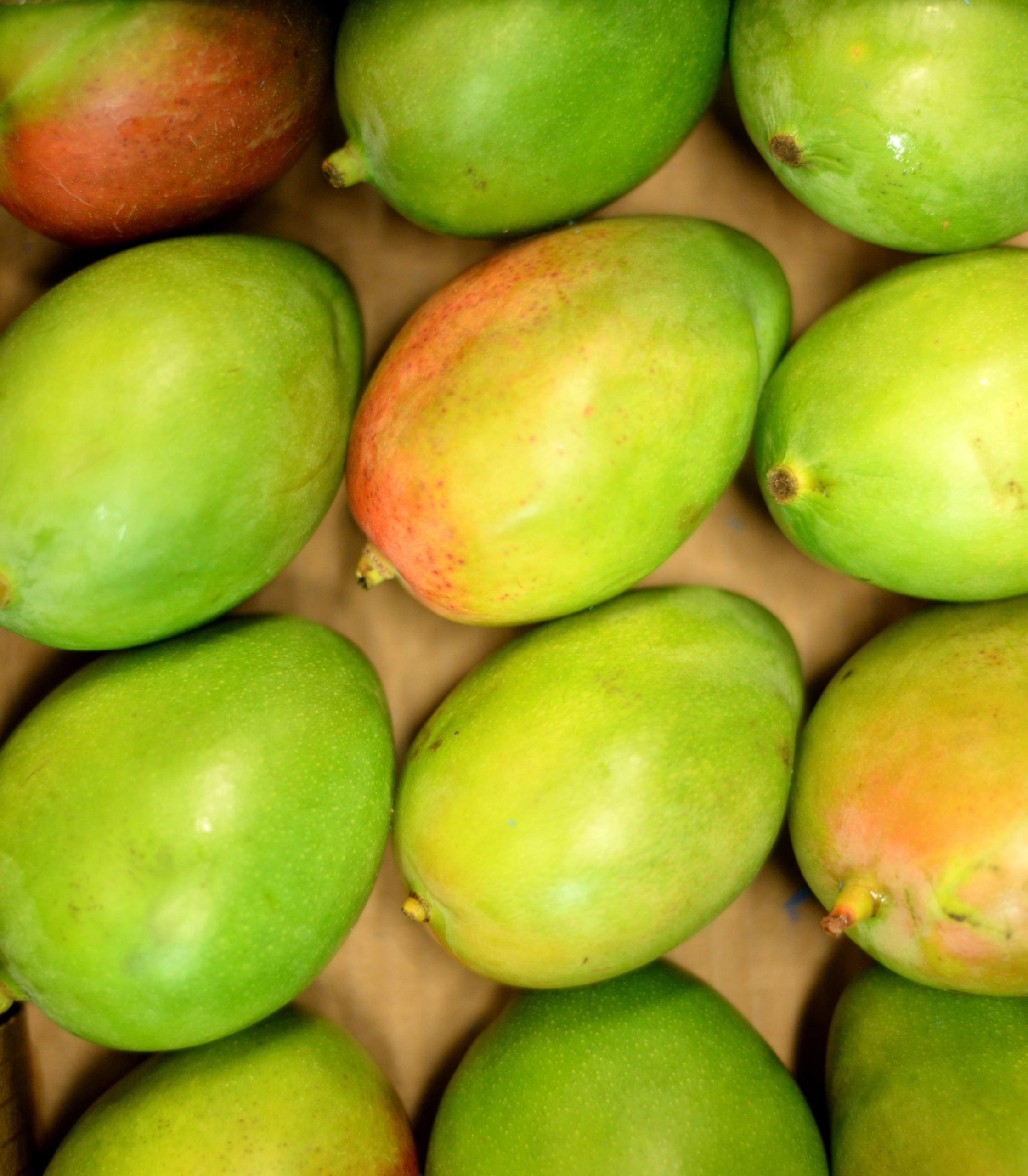 Mangue avion origine Perou