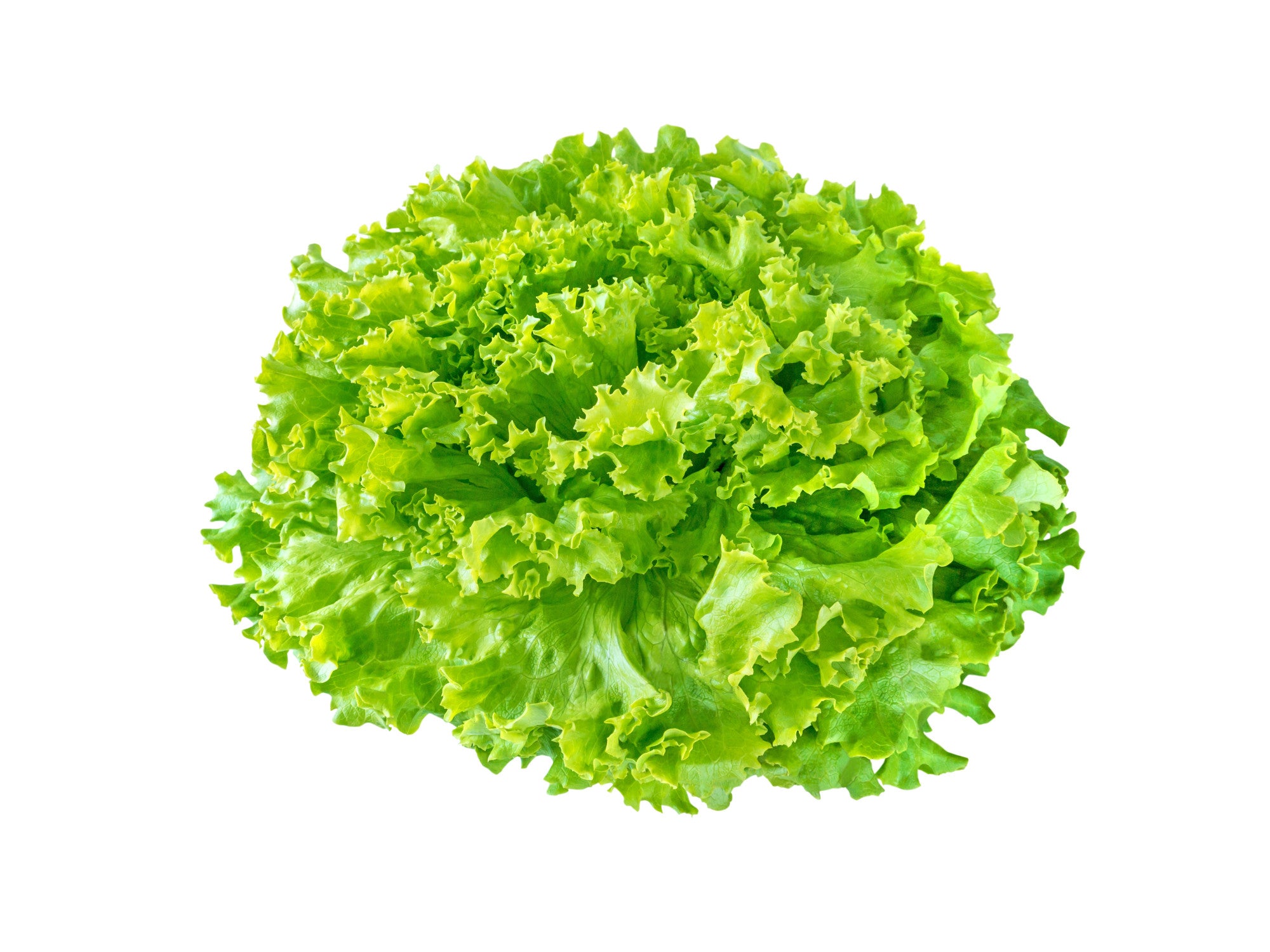 Salade verte (Rhône-Alpes) Origine France