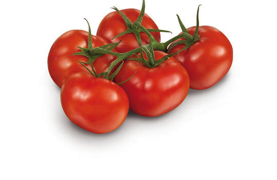 Tomate grappe Origine France